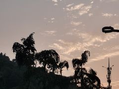 -重庆海昌加勒比海水世界