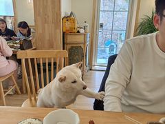 -柴の食堂·日式家庭料理·熊之肆(大学路店)