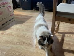 -白兔子密室(长寿路店)