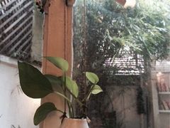 iphone_upload_pic-燕庭·纯燕窝·甜品下午茶(南京西路店)
