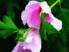 -长辛店二七公园