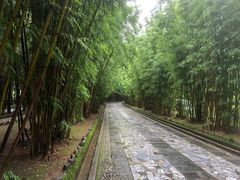 -蝴蝶泉公园