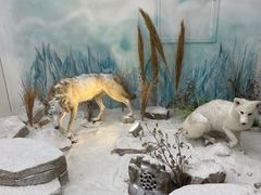 -西霞口神雕山野生动物世界