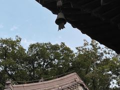 -灵谷景区