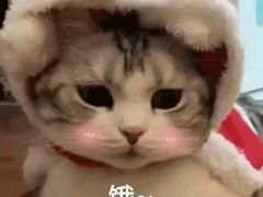 -老枝花卤(玉林店)