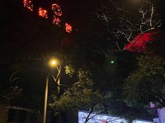 -仙都辣酱鸭(总店)