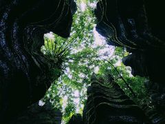 -梭布垭石林景区