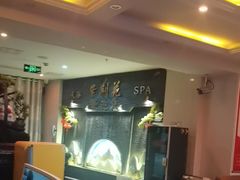 -紫荆花·影院足道·SPA(千灯店)