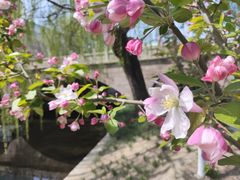 -元大都城垣遗址公园