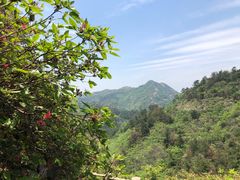-木兰云雾山