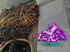 -大灰狼(中心书城店)