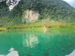 -靖西鹅泉风景区