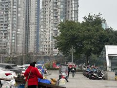 -大龙山(地铁站)