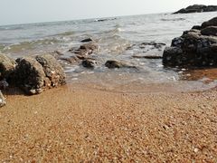 -日照海滨国家森林公园