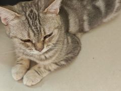 -平行世界·猫咖(首经贸店)