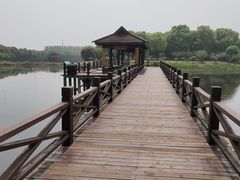 -荷塘月色湿地公园·向阳花洲