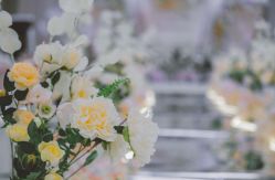 -艾米婚纱&婚礼策划