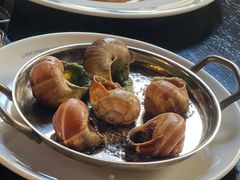 -金蜗牛
