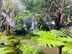 -Chom Cafe and Restaurant