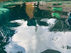 -大连金石滩绿发温泉假日酒店