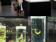 -广东中医药博物馆