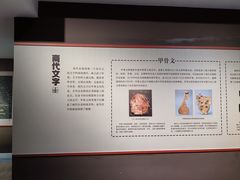 -安阳博物馆