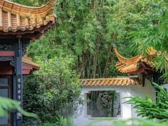 -广州兰圃