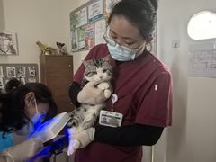 -美联众合动物医院·24h京西诊疗中心