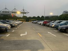 场地-浦东机场p4停车场