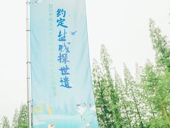 -黄海国家森林公园