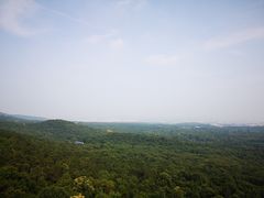 -紫金山索道-售票处