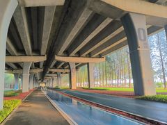 -宝安西湾红树林湿地公园