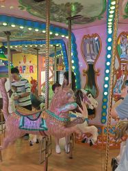 -卡通尼·Safari非洲探索乐园·生日会(金桥国际商业广场店)