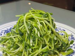清炒鸡毛菜-鸭王烤鸭店(三里河店)