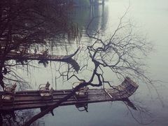 -东湖落雁景区