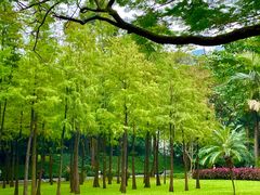 -晓港公园