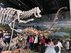 -自贡恐龙博物馆