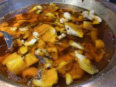 -雲蜀龙阁·金牌水煮鱼(方庄店)