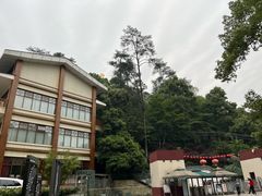 -大金鹰园