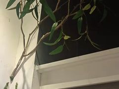 -春天来了(印象新天地店)