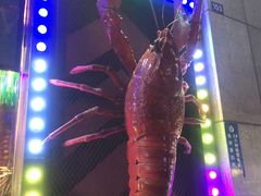 -红钳侠小龙虾·烧烤(中赢康康谷店)