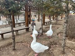 -大青山野生动物园