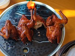 -大鸽饭(马王堆店)
