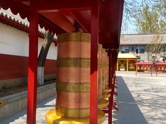 -护国法轮寺