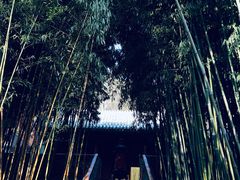 -潭柘寺景区