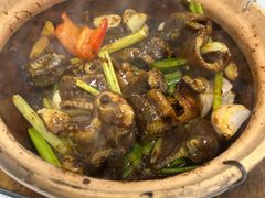 -天宝食坊·啫啫煲大排档(西华路店)