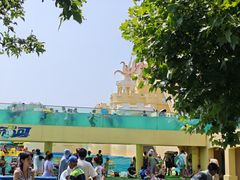 -秦皇岛乐岛海洋王国