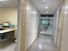 -谐和贝康宠物医院24小时·宠保定点(急重症转诊中心)