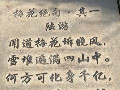 -无锡梅园公园