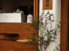 -本無咖啡·BeanWood Coffee